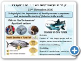 world fisheries day